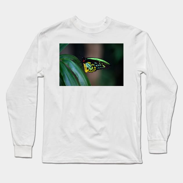 Colour On The Wing Long Sleeve T-Shirt by GP1746